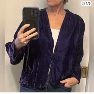 Amika Deep Blue Velvet Blazer